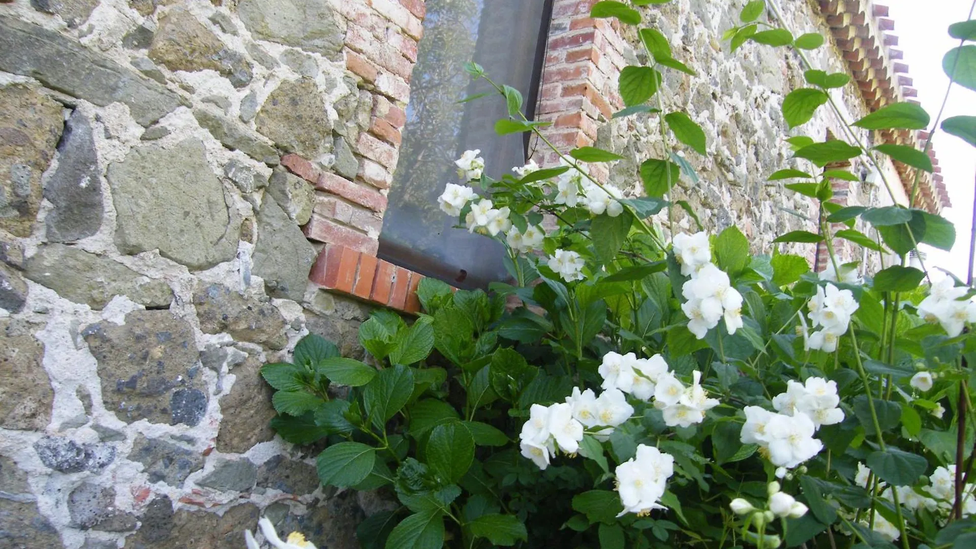 Agriturismo Il Giglio Oristano Alloggio per agriturismo