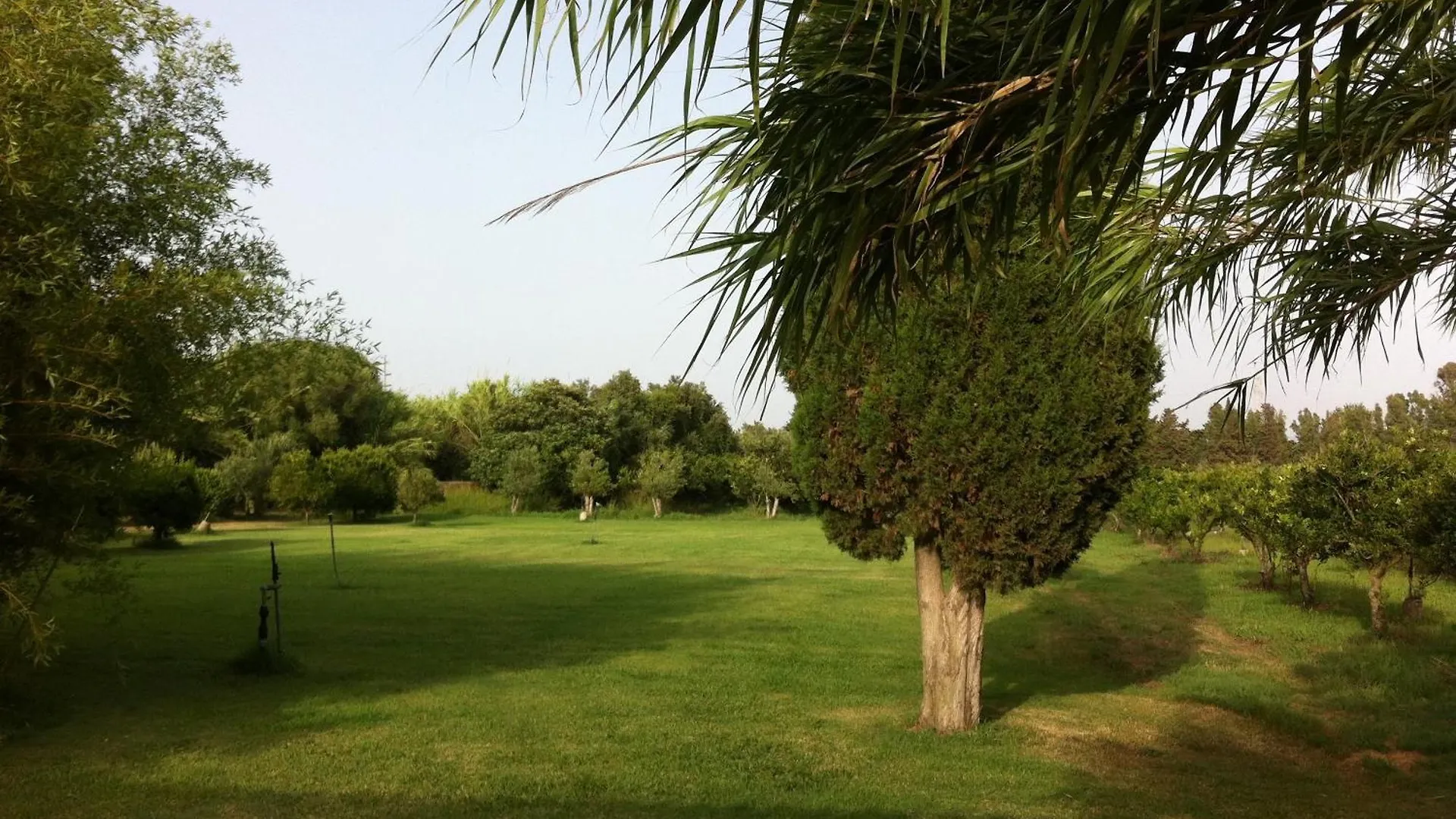 Agriturismo Il Giglio Oristano Alloggio per agriturismo